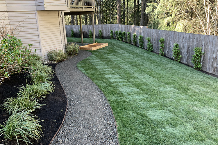 Lawn and Path Renovation
