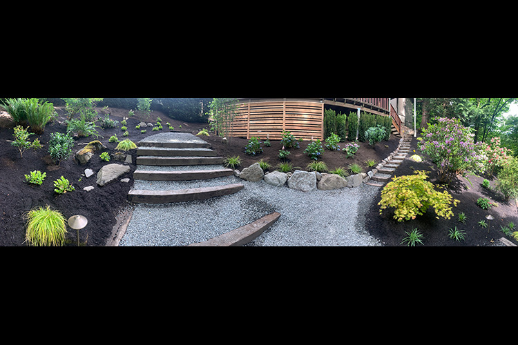 Path and Stairs Renovation